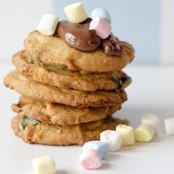 Marshmallow Chip Cookies