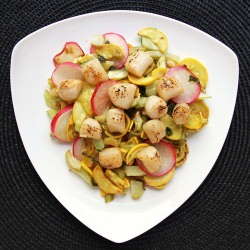 Bay Scallops