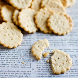 Homemade Ritz Cracker