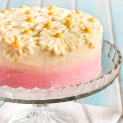 Brown Butter Pink Ombre Daisy Cake