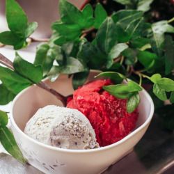 4 Methods of making Ice Cream
