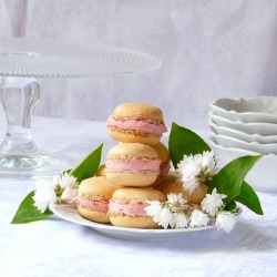 Hazelnut Macarons with Raspberry