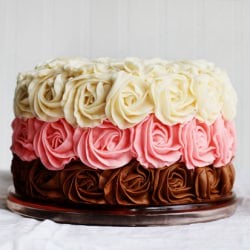 Neapolitan Rose Cake