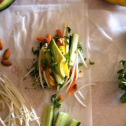 Spring Rolls