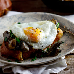 The Ultimate Creamy Mushrooms
