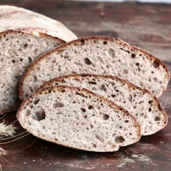Wheat Sourdough Bread