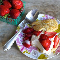 Strawberry Shortcake