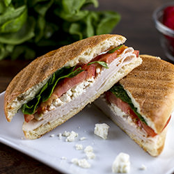 Mediterranean Turkey Panini