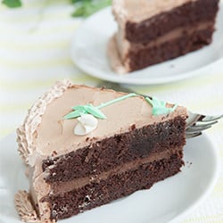 Belgium Chocolate Cake