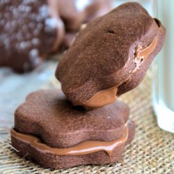 Cocoa Shortbread Cookies