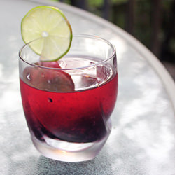 Blackberry Brambles
