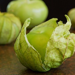 Green Chile Tomatillo Salsa