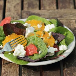 Spinach Salad