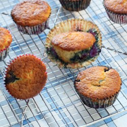 Blueberry Muffins