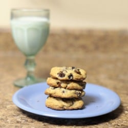 Chocolate Chip Raisin Cookies