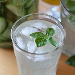 Basil Cucumber Gimlet