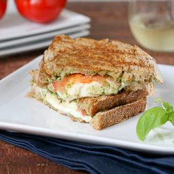 Tomato, Mozzarella, & Pesto Paninis