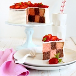 Checkerboard Cake with Tutorial