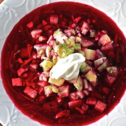 Summer Borscht