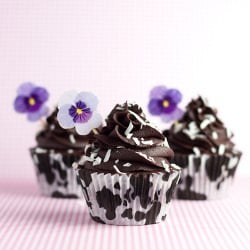 Choc Coconut Rum Cupcakes