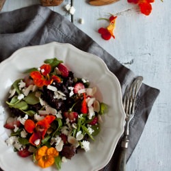 Colourful Summer Salad
