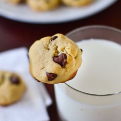 Chocolate Chip Cheesecake Bites