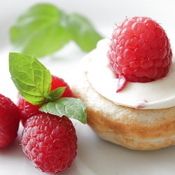Mini Donuts Canapés