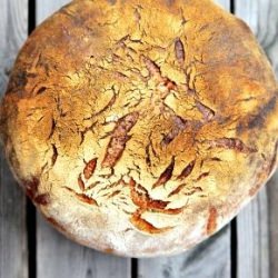 Italian Rustic Sourdough