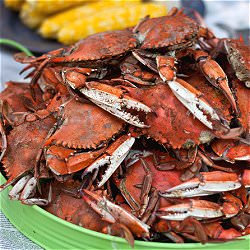 Steamed Blue Crabs