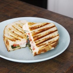 Basil, Tomato & Fontina Paninis