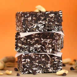 PB Fudge Granola Bar