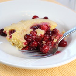 Cranberry Pudding Cake