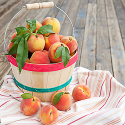 Fresh picked Peaches