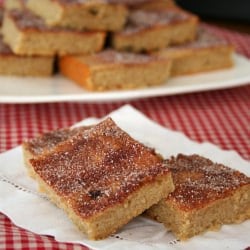 Snickerdoodle Blondies