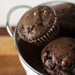 Double Chocolate PB Muffins