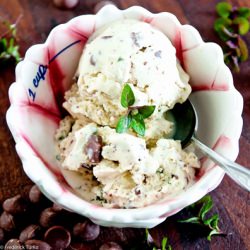 Fresh Mint & Chip Ice Cream