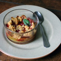 Strawberry and Rhubarb Crumble