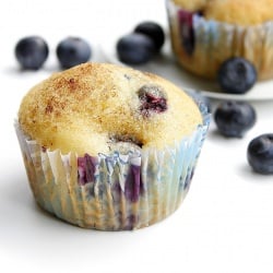Blueberry Muffins