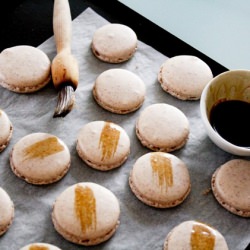 Macaron Shells