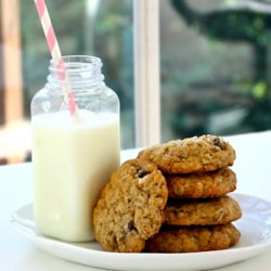 Chocolate Pecan Salty Oat Cookie