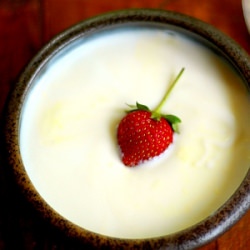 Homemade Yogurt