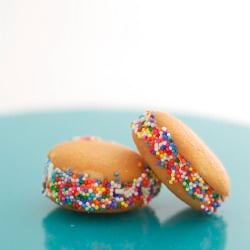 Mini Ice Cream Sandwiches
