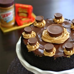 Pb Cup Cheesecake