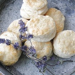 English Scones