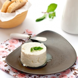 Homemade Cheese