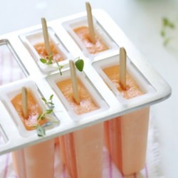Cataloupe melon ice pop