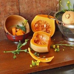 Butternut Squash