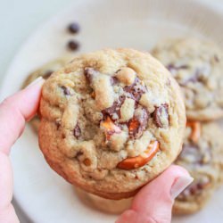 Chocolate Covered Pretzel Cookies