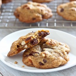 Chocolate Chip Pretzel Cookies