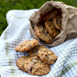 Trail Mix Cookies